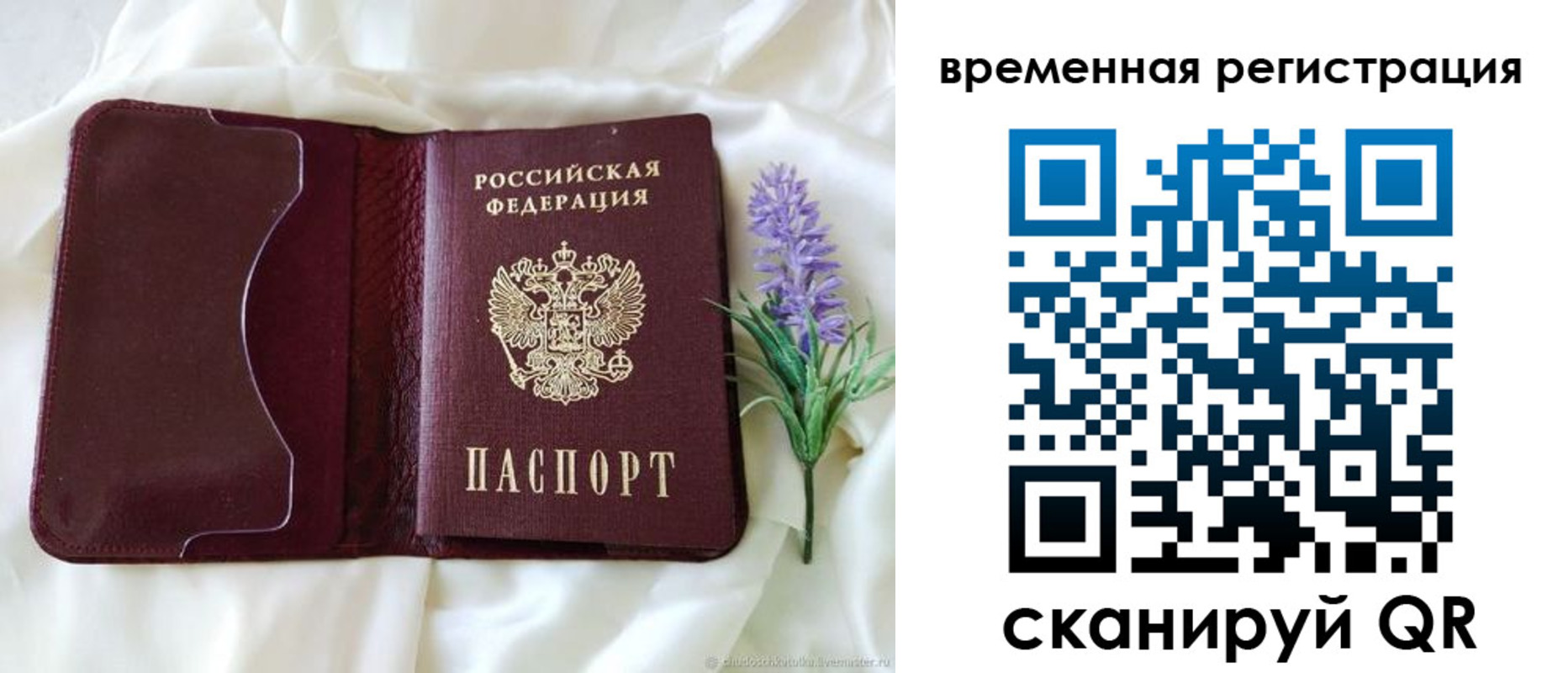 прописка 2025 в Тимашёвске